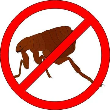 Sign stop fleas insect icon with black outline Illustrazione stock