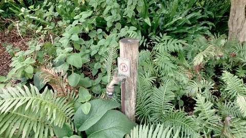 Sign on tap saying Do Not Drink Water Not Potable Vidéo 115879501