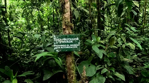 A sign telling the forest is protected and private area 库存影片 336933638