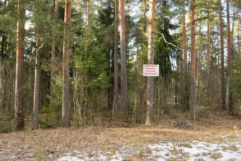 A sign on the tree "dumping is prohibited" Stock Photos