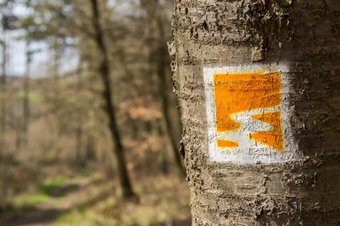 Sign at a tree Fotos de archivo