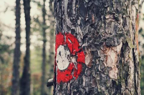 Sign on the tree Stock-Fotos