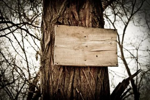 A sign on the tree Foto stock