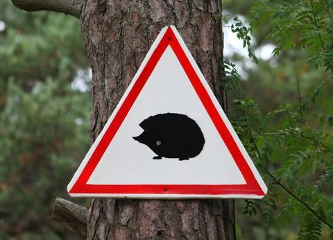 Sign on a tree Stock Photos