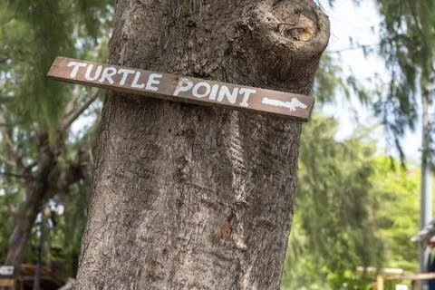 Sign on a tree with Turtle Point written on it Stock Photos