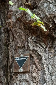 A sign on a tree warns the user of the warning Stock Photos