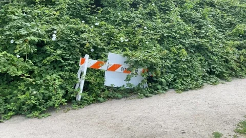Sign of Vancouver Construction hidden behind greenery leaves like horror movie Stock Footage 280802203