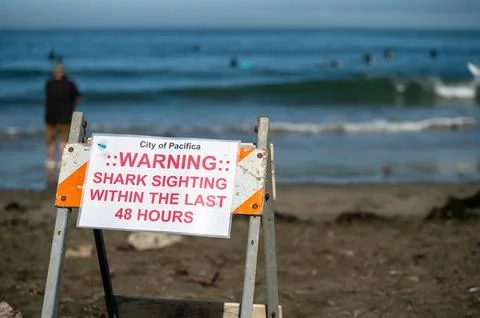 Sign warning of sharks on the beach Stock Photos