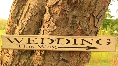 Sign Wedding Stock Footage 42525294
