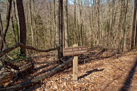 Signage in the forest Stock Photos