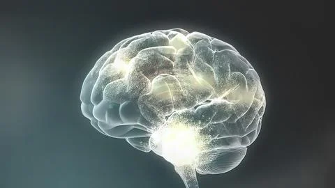 Signals of neurons in the brain Stockillustratie