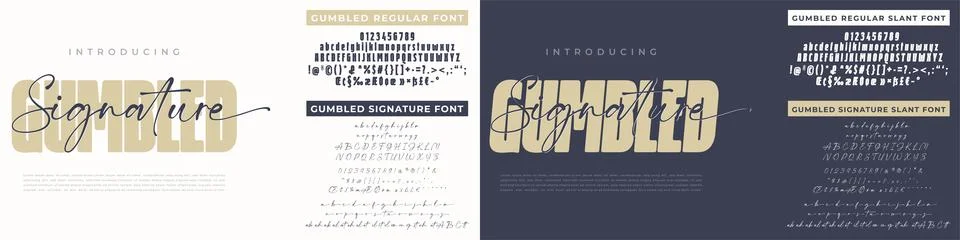 Signature Script and Bold Display Font Vector Stock Illustration