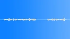 SignatureSound Effect