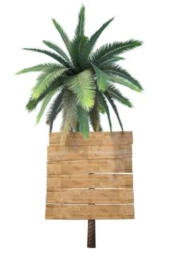 Signpost Illustrazione stock