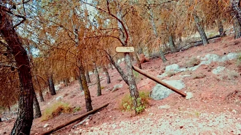 Signposting to a cave in nature Stock Footage 227322078