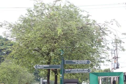 Signposts to make it easier for tourists Stock Photos