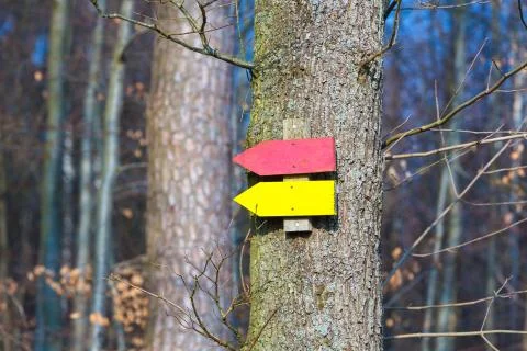 Signposts on a tree Stock Photos