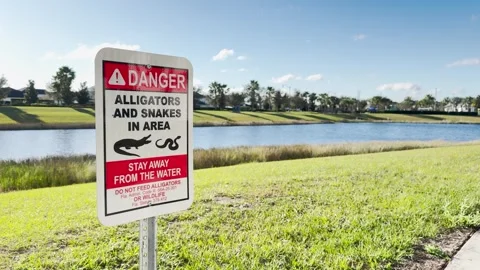 Signs around the lakes in Orlando. Danger. Stock Footage 267521253