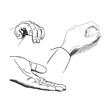 Signs, gestures with hands. A set of three hand gestures. Vector Stock Illustration