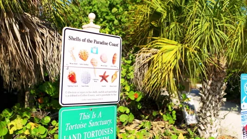 Signs for seashells, gopher tortoise at Barefoot Beach, Bonita Springs Florida Stock Footage 209961196
