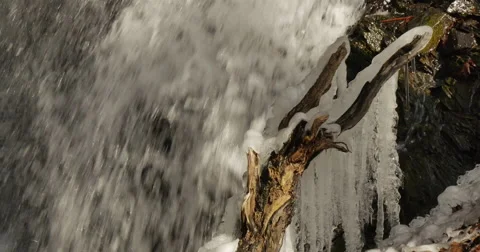 Signs of spring: melted Icicles on the tree brunches near waterfall Vidéo 60921658