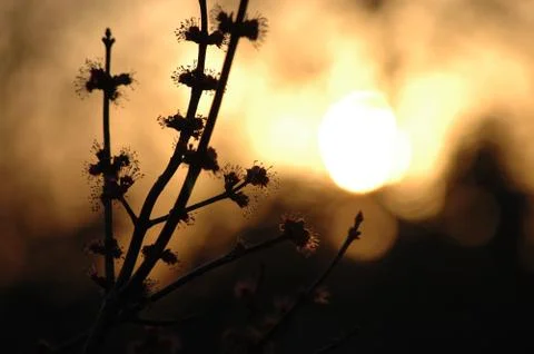 Signs of Spring Stock Photos