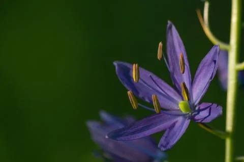 Signs of Spring Stock Photos