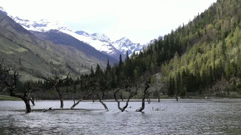 Siguniang mountain nature view Video stock 77381848