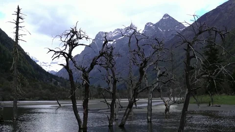 Siguniang mountain nature view Vidéo 77381896