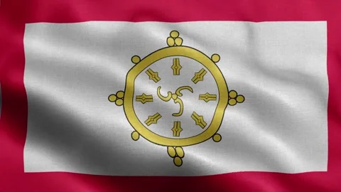 Sikkim flag Front Stock Footage 318669493