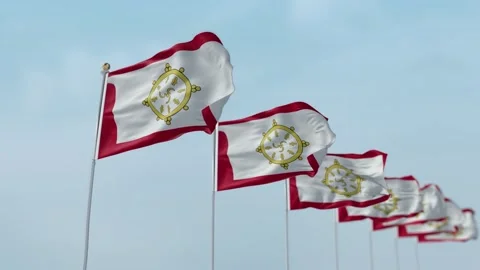 Sikkim Row Of Flags Animation Stock Footage 136251314