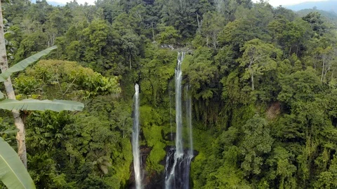 Sikumpul Stock Footage 96329441