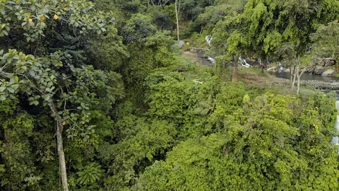 Sikumpul2 Stock Footage 96329767