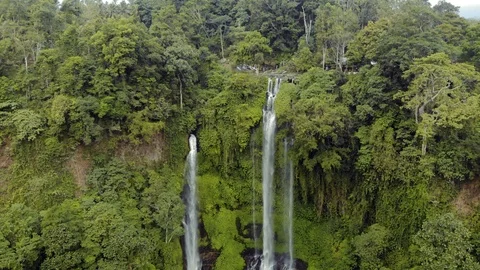 Sikumpul3 Stock Footage 96330095