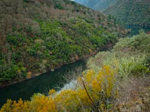 Sil river canyons Photos