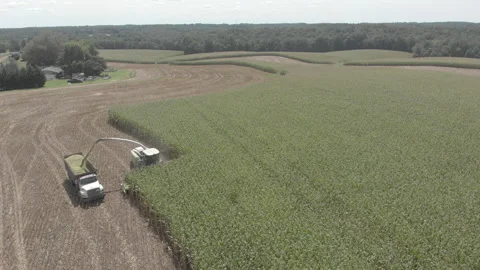 Silage Being Cut Stock Footage 169551208