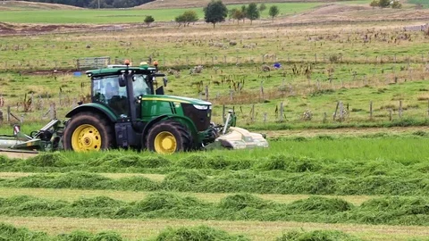 Silage crop Stock Footage 103429752