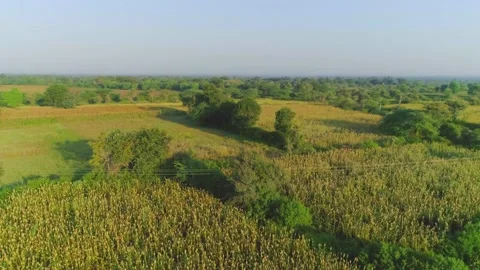 Silage farm in udaipur Stock Footage 218289716