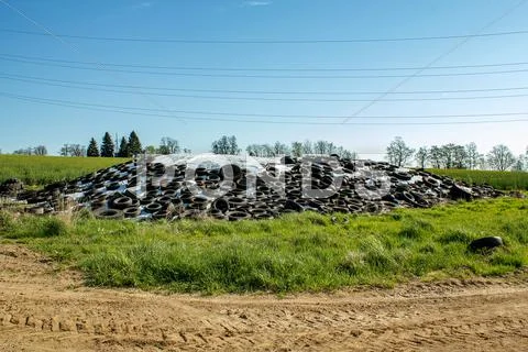 Silage by farmers using old tires as a burden Stock Photos