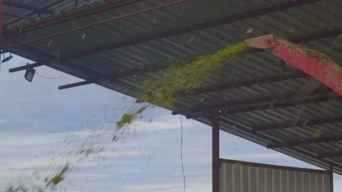 Silage making process Stock Footage 209814221
