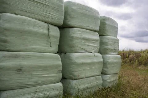 Silage packed in green plastic for cows in the north of the Netherlands. Stock Photos