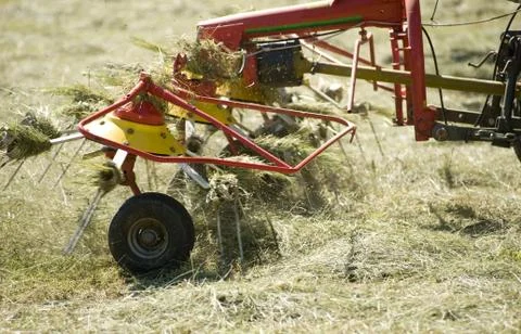 Silage Stock Photos