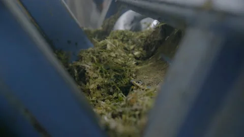 Silage process machine Stock Footage 209815364