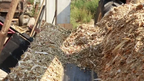 Silage is transported from conveyor to elevator Stock Footage