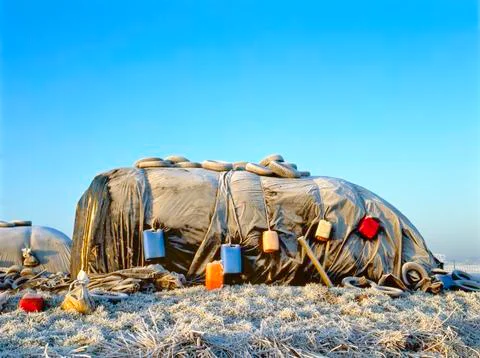 Silage in winter Stock Photos