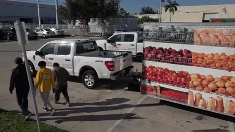 Silence and long lines at US food banks amid uncertainty over SNAP program, MIAM Stock Footage 320273302
