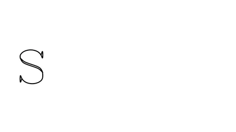 Silence Animated Handwriting Text in Serif Fonts and Weights 動画素材 113928463
