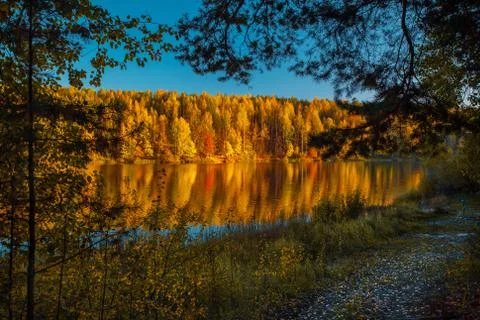 Silence at the forest lake at sunset, with reflection of sky and forest on a  Stock Photos