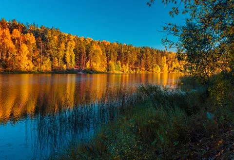 Silence at the forest lake at sunset, with reflection of sky and forest on a  Stock Photos