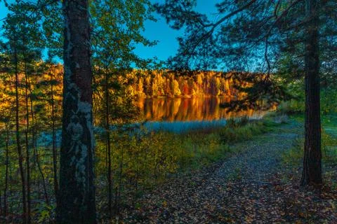 Silence at the forest lake at sunset, with reflection of sky and forest on a  Stock Photos